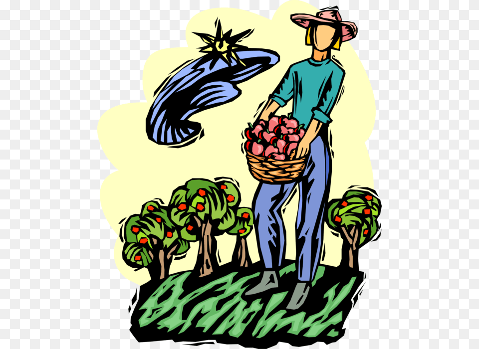 Apple Orchard Harvest Worker, Garden, Nature, Outdoors, Person Free Transparent Png
