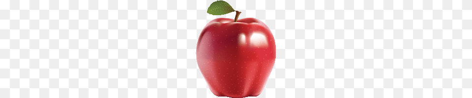 Apple Photo Images And Clipart Freepngimg, Food, Fruit, Plant, Produce Png
