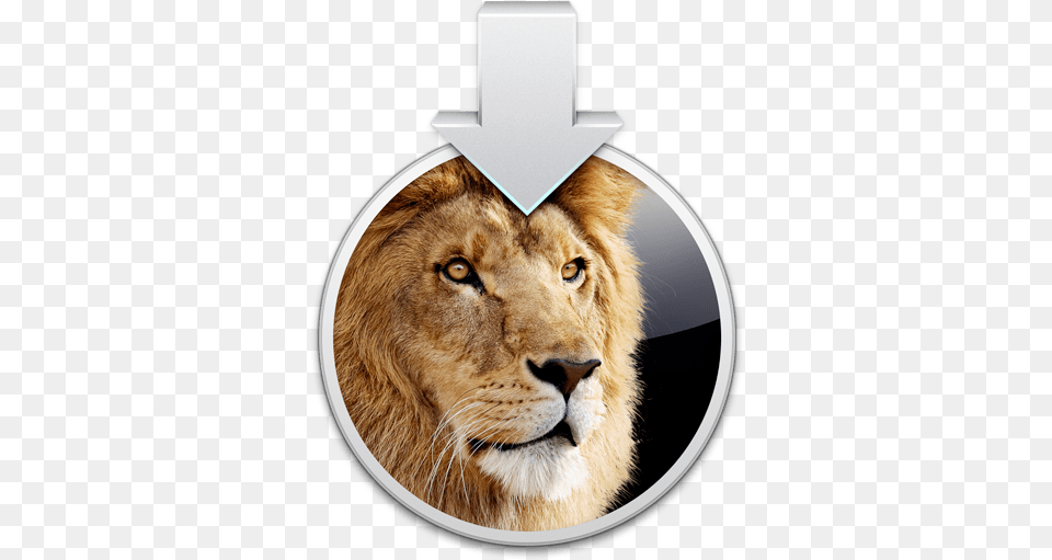 Apple Posts Os X Lion 1073 Os X Lion Installer, Animal, Mammal, Wildlife Png