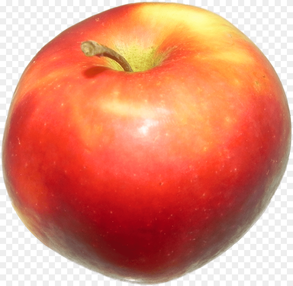 Apple Red 1 Bush Tomato, Food, Fruit, Plant, Produce Png