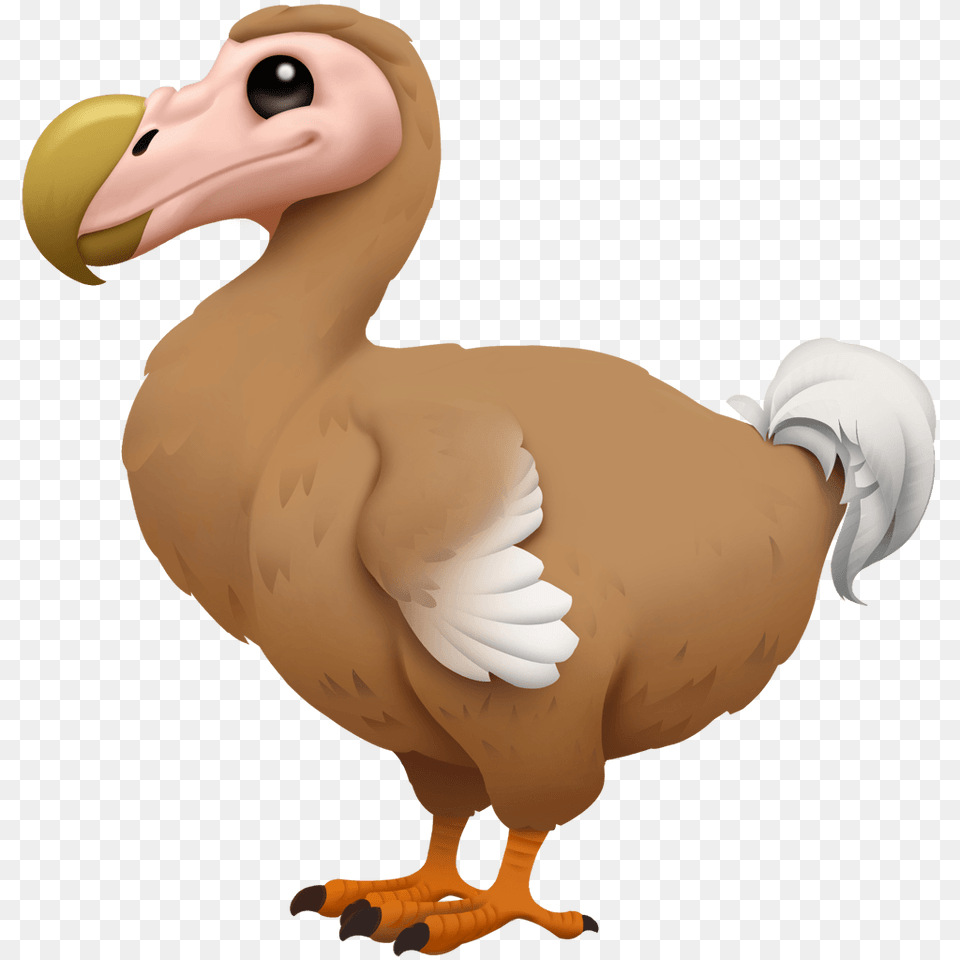 Apple Releases Ios 14 Nuevos Emojis Ios, Animal, Bird, Dodo, Dinosaur Png