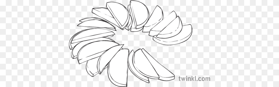 Apple Slices Black And White Apple Slices Line Drawing, Daisy, Flower, Plant, Art Free Transparent Png