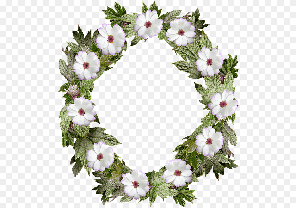 Apple Teacher Clipart Transparent Background, Plant, Flower, Wreath, Anemone Free Png
