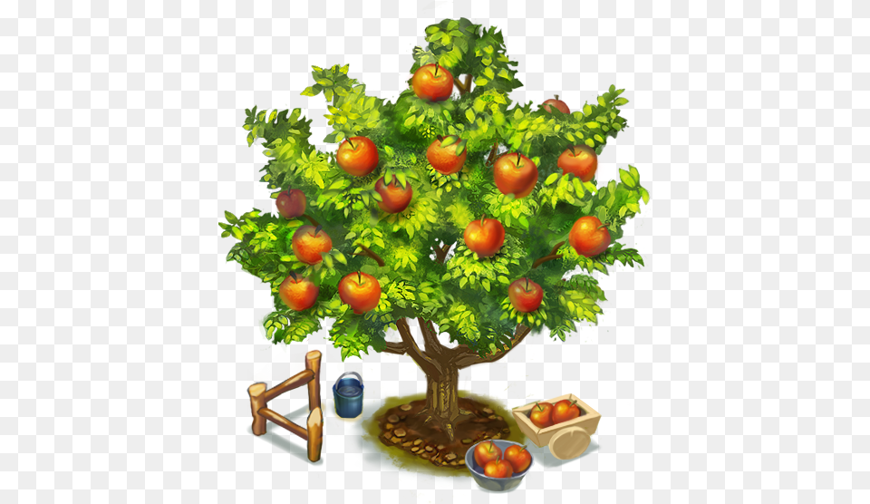 Apple Tree 3 Apple, Plant, Potted Plant, Conifer, Painting Free Png