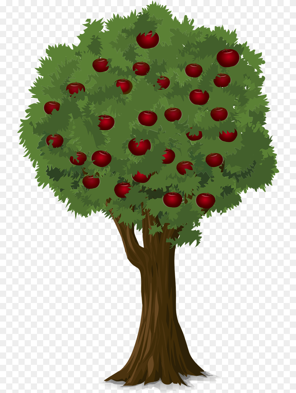 Apple Tree Albero Melo, Plant, Conifer, Vegetation, Art Free Png