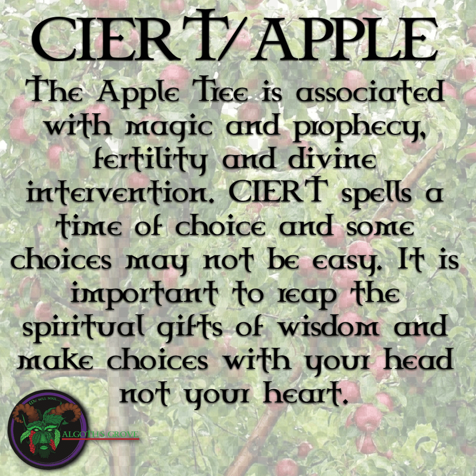 Apple Tree Apple, Food, Fruit, Plant, Produce Png Image