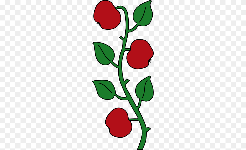 Apple Tree Branch Clip Art, Flower, Plant, Rose, Leaf Free Png