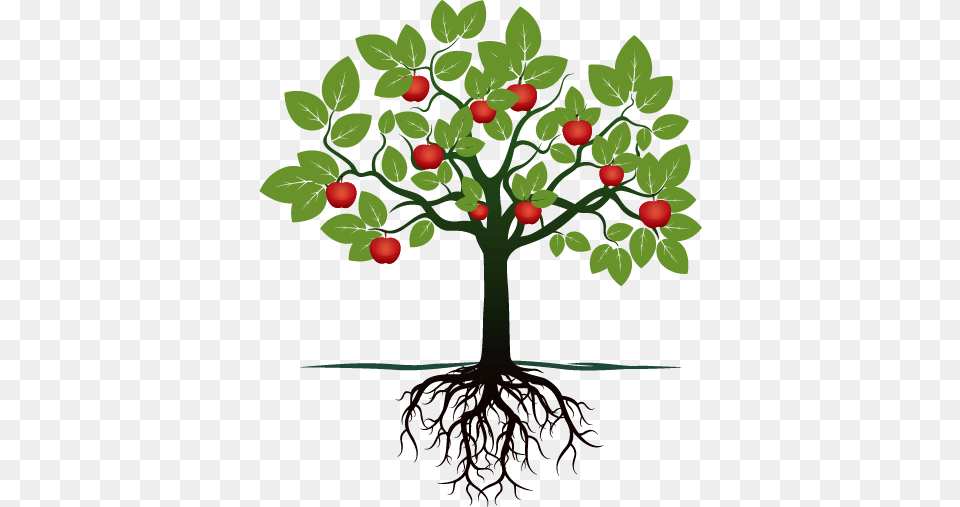 Apple Tree Cartoon Tree Vector, Plant, Root Png Image