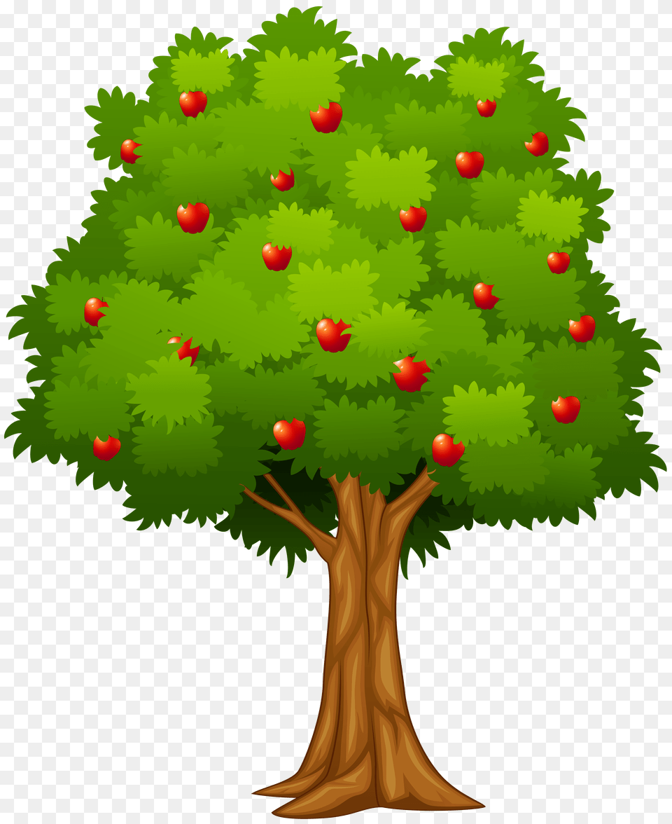 Apple Tree Clip Art, Plant, Conifer, Vegetation, Yew Png Image