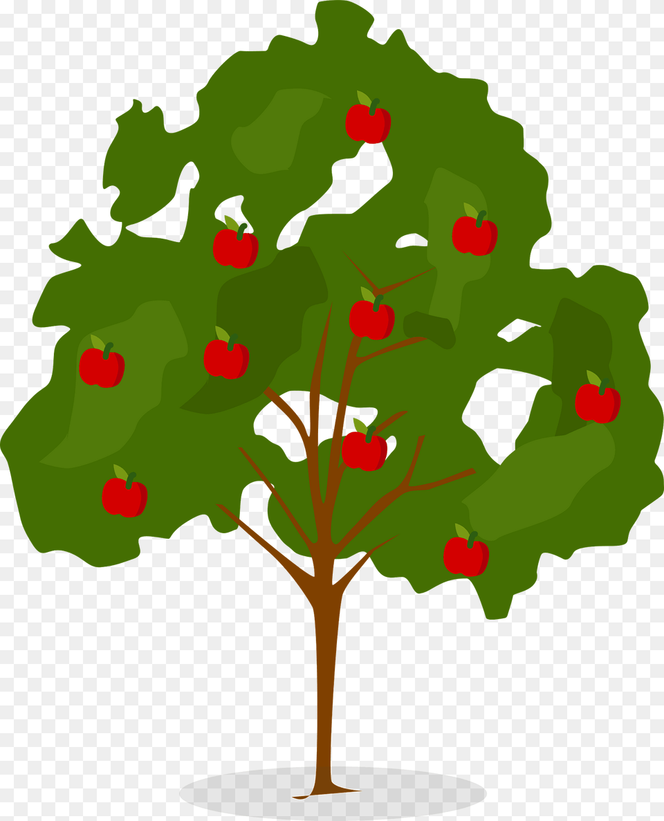Apple Tree Clipart, Plant, Sycamore, Oak, Painting Png Image