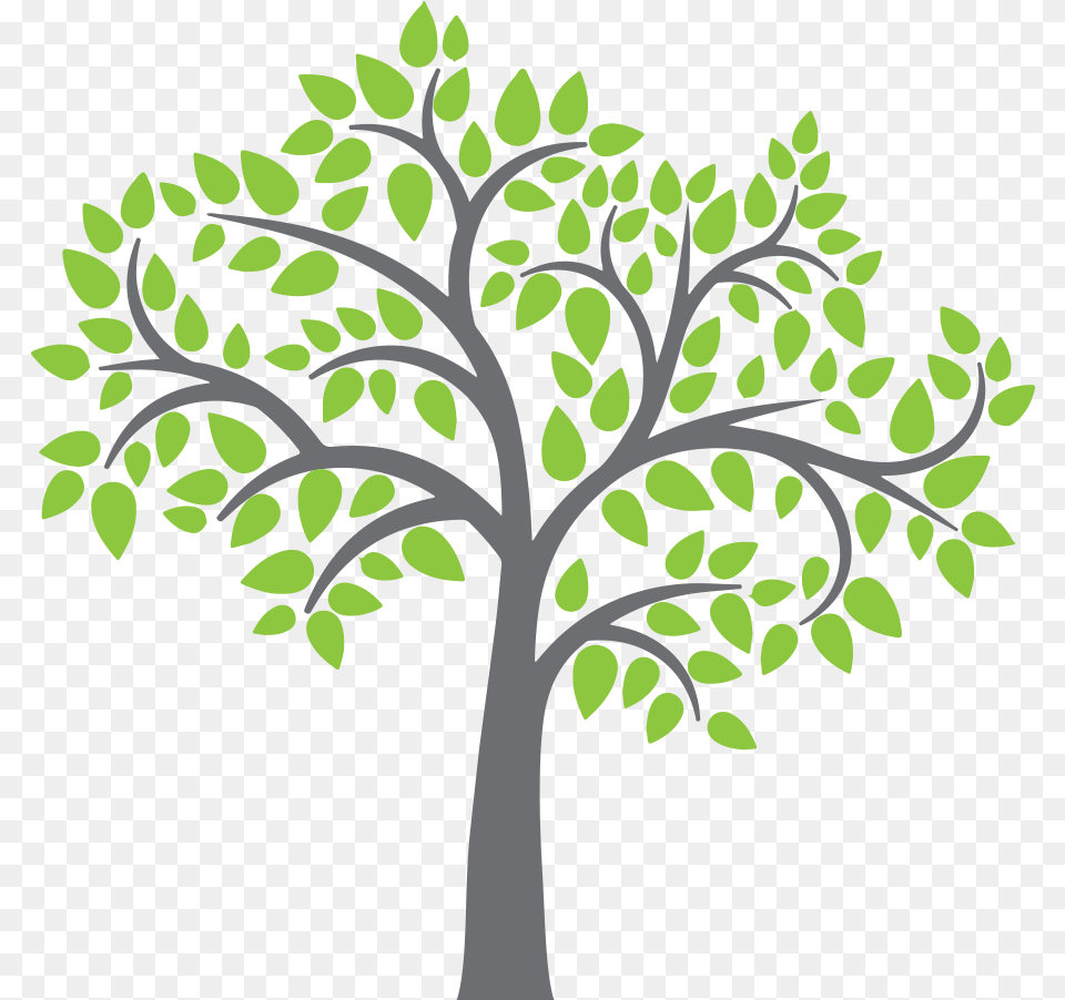 Apple Tree Clipart Family Tree With Apples, Plant, Leaf, Potted Plant, Art Free Png