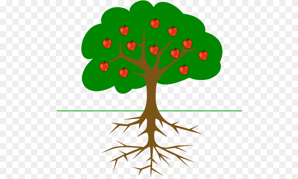 Apple Tree Clipart Mango Tree Root System, Plant Png Image
