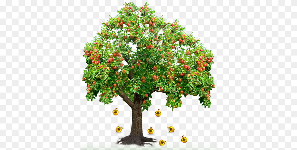 Apple Tree Clipart Tree With Many Fruits, Food, Fruit, Plant, Produce Free Transparent Png