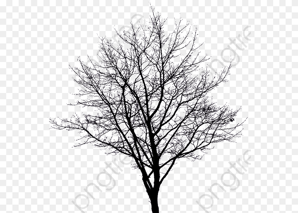 Apple Tree Clipart Winter Winter Tree Silhouette, Ice, Nature, Outdoors, Weather Free Png