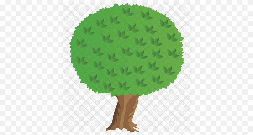 Apple Tree Icon Bute Centro Buenas Tertulias, Green, Plant, Conifer, Vegetation Free Png Download