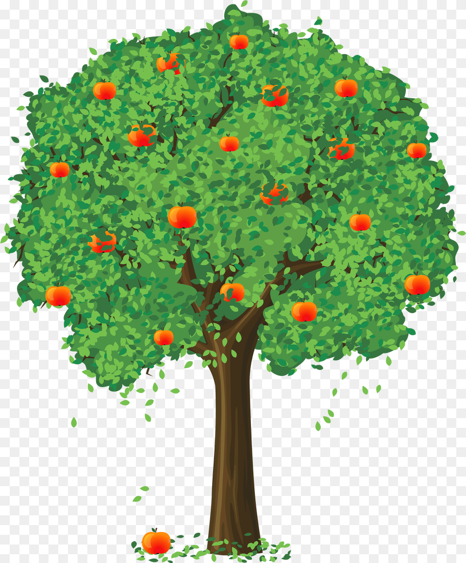 Apple Tree Image Apple Tree Clipart, Plant, Oak, Sycamore, Vegetation Free Png