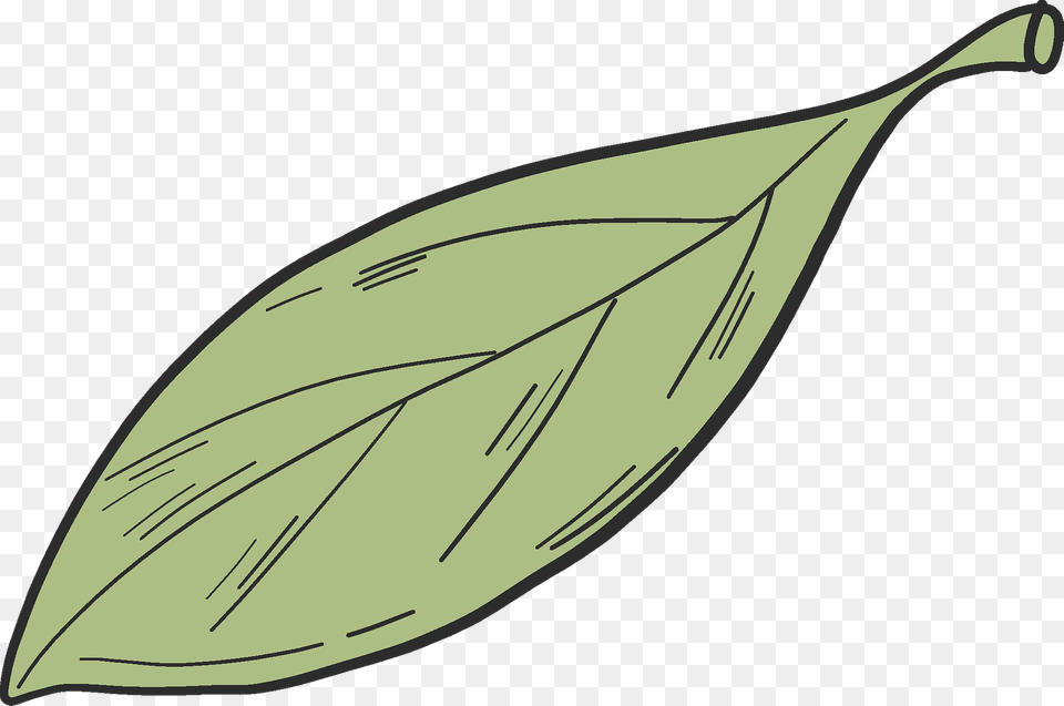 Apple Tree Leaf Clipart, Plant, Bow, Weapon, Annonaceae Png