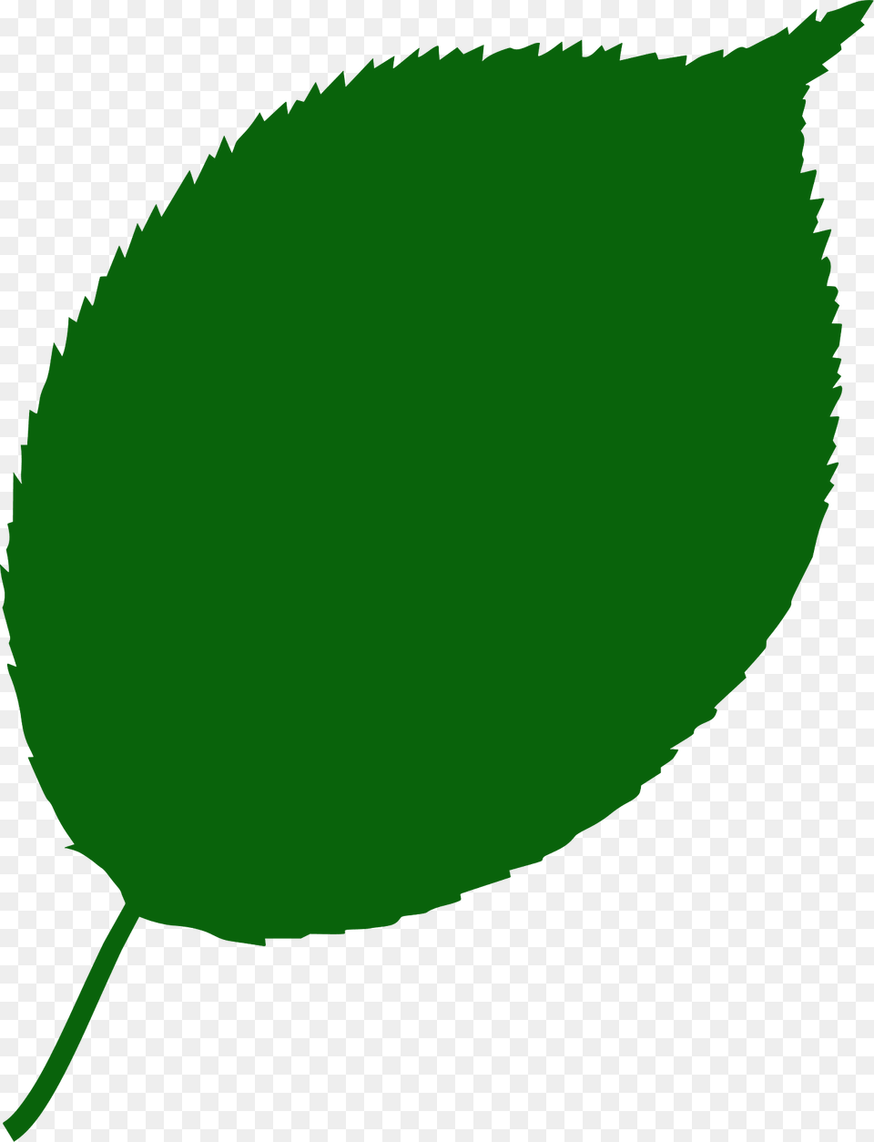 Apple Tree Leaf Silhouette, Green, Plant, Herbal, Herbs Png