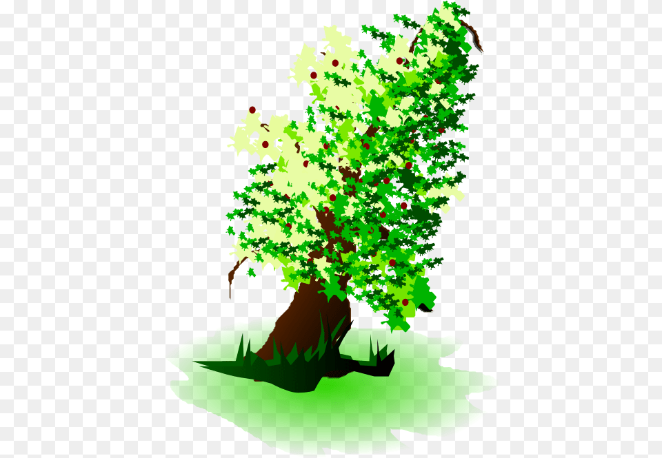 Apple Tree Oil Painting Clipart Apple Tree, Vegetation, Green, Plant, Sycamore Free Png