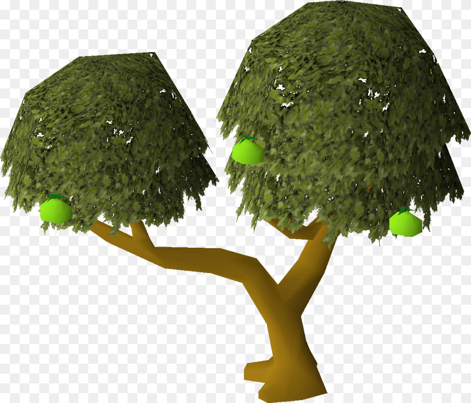 Apple Tree Osrs Wiki Apple Tree, Ball, Green, Sphere, Sport Png