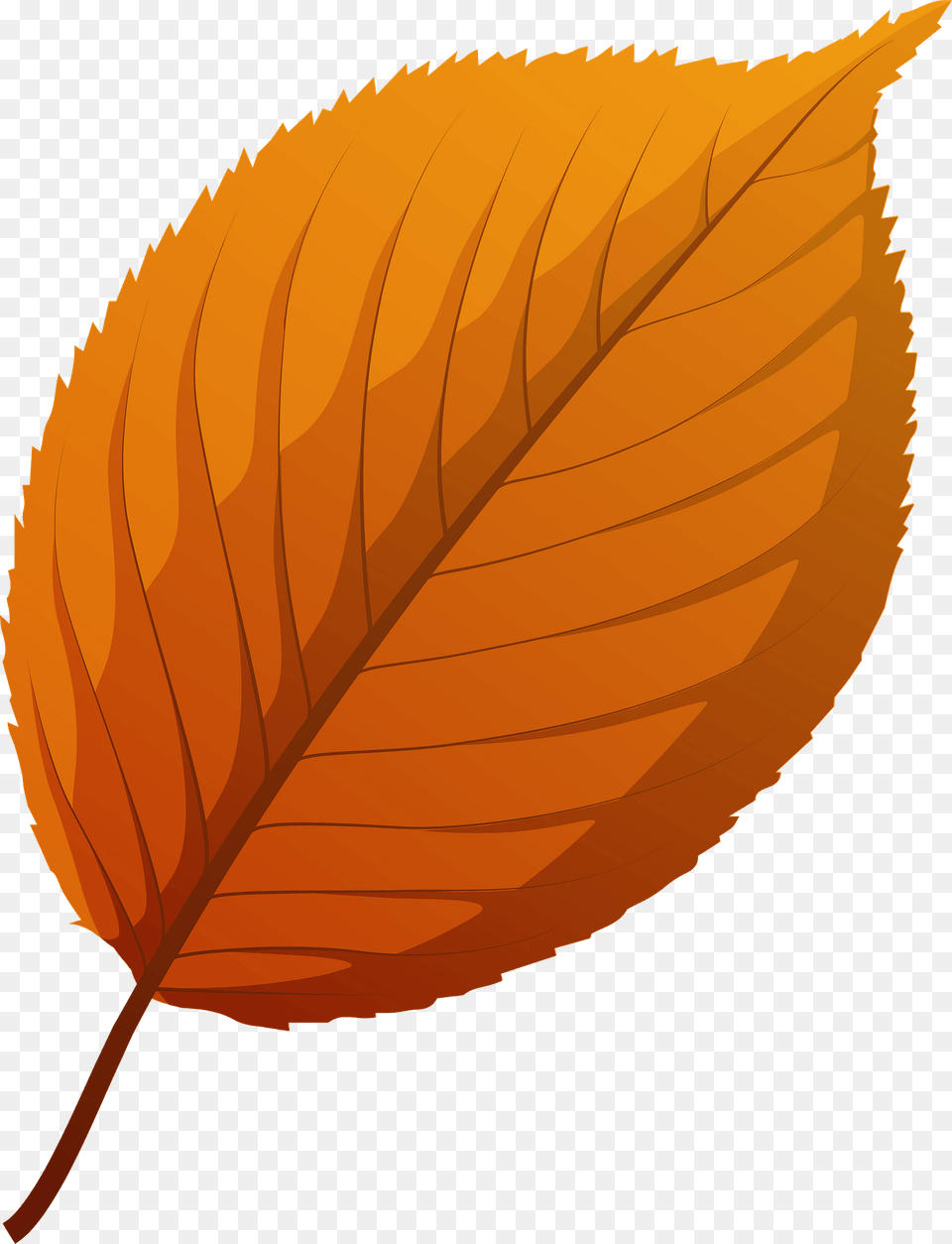 Apple Tree Red Leaf Clipart, Plant Png Image