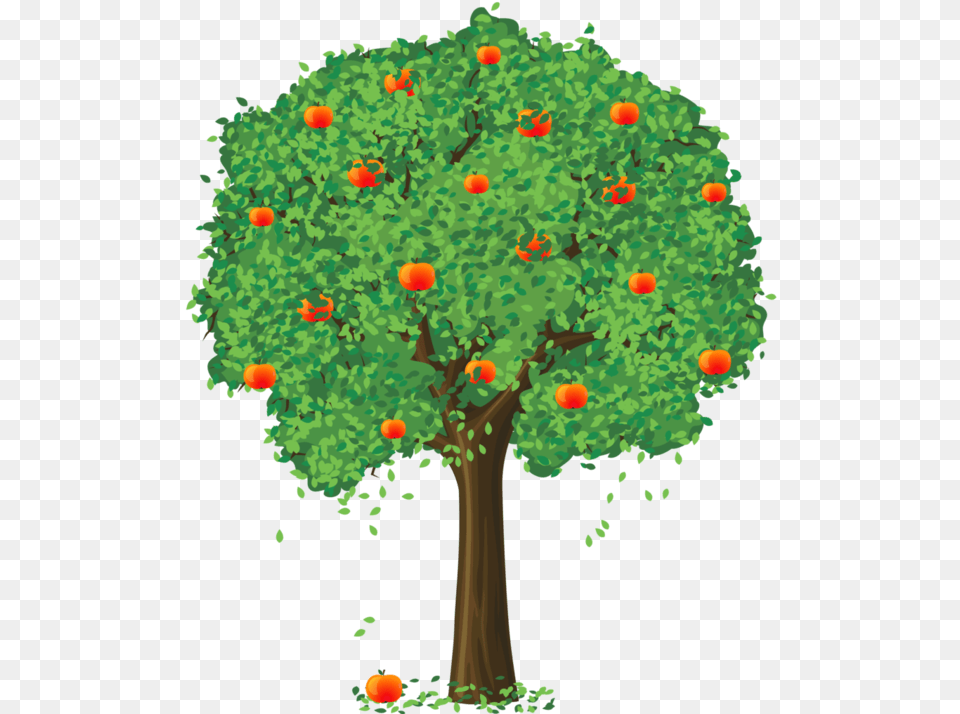 Apple Tree Transparent Background Transparent Cartoons Apple Tree Clipart, Plant, Oak, Sycamore, Woodland Png