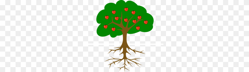 Apple Tree With Roots Clip Art Grandparents Day, Plant, Root, Potted Plant Png Image