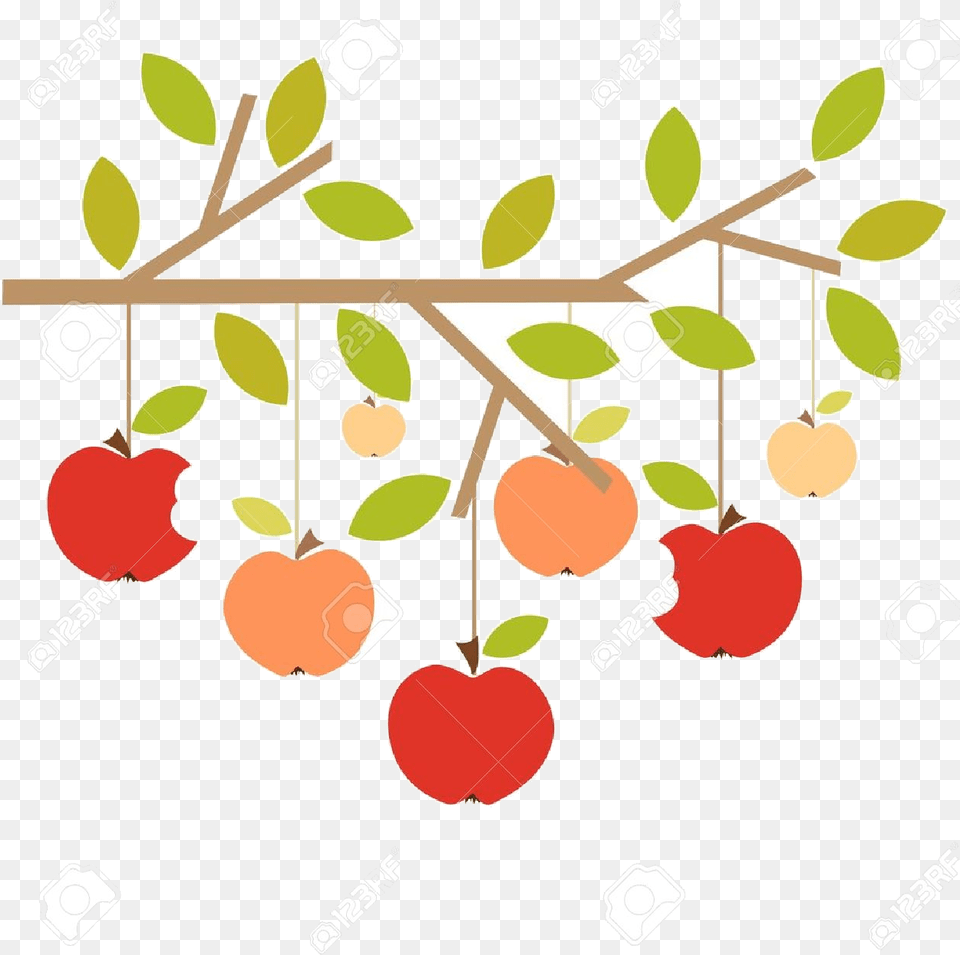 Apple Tree X Cherry Clipart Branch Collection Apple Tree Branch Clip Art, Food, Fruit, Leaf, Plant Free Transparent Png