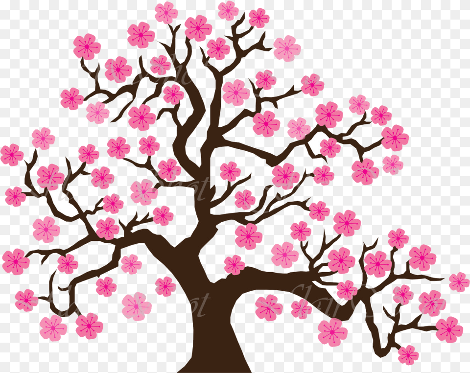 Apple Tree X Cherry Clipart Branch Many Interesting, Flower, Plant, Cherry Blossom Free Transparent Png