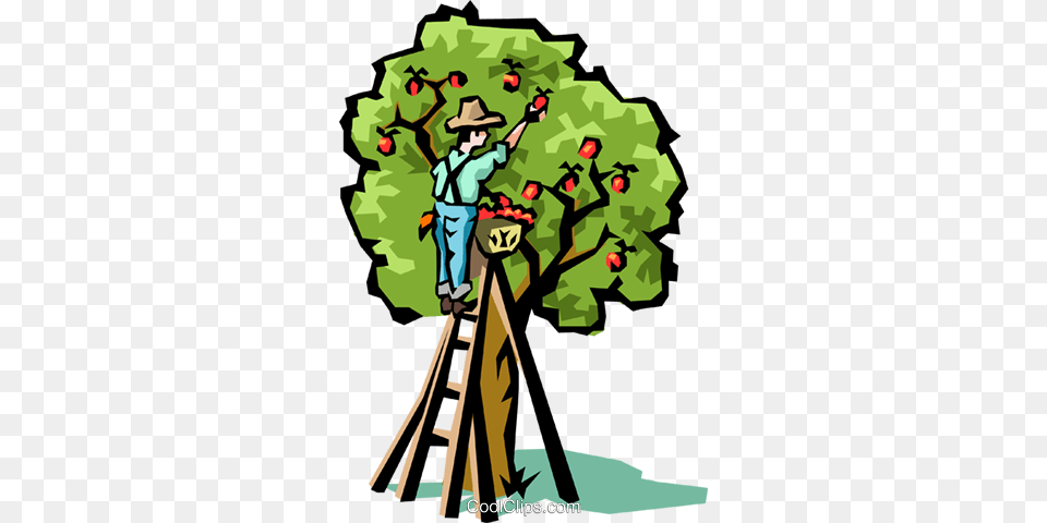 Apple Trees Royalty Vector Clip Art Illustration, Vegetation, Tree, Rainforest, Plant Free Png
