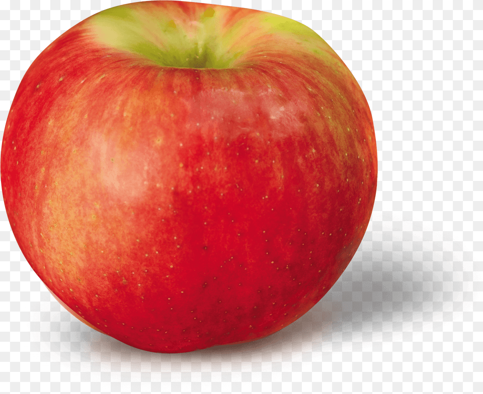 Apple Varieties Nj And Ny Demarest Farms Orchard Farm Zestar Apples, Food, Fruit, Plant, Produce Png Image