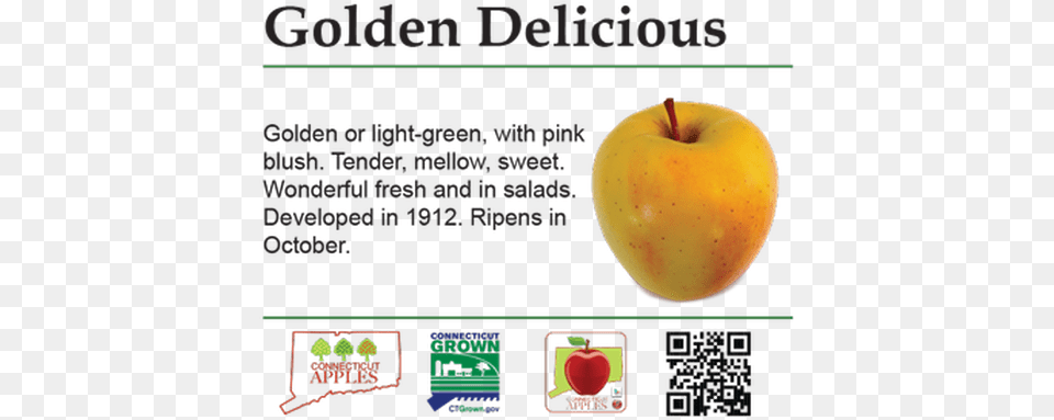 Apple Varieties Pdfs Ct Apples Apple, Food, Fruit, Plant, Produce Png Image