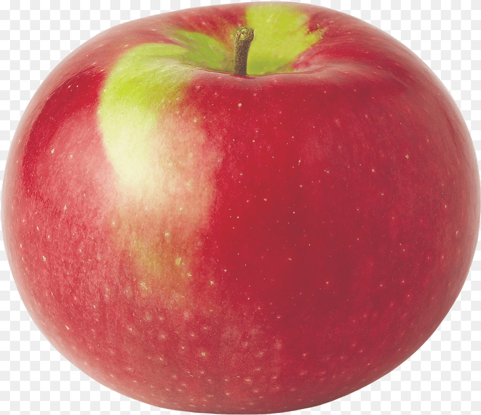 Apple Varieties Usapple Show The Picture Of Apple, Food, Fruit, Plant, Produce Free Png