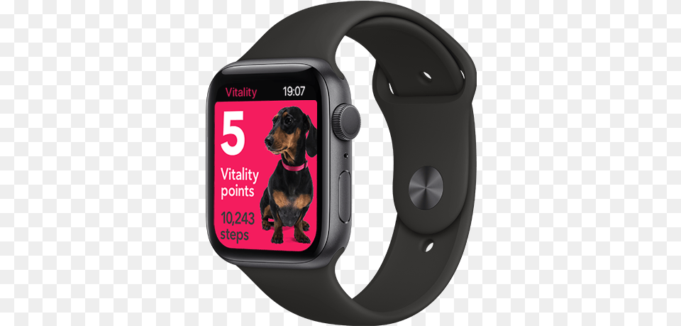 Apple Watch Deal With Vitality Offer Apple Watch Series 6 Space Grey, Wristwatch, Pet, Person, Mammal Png
