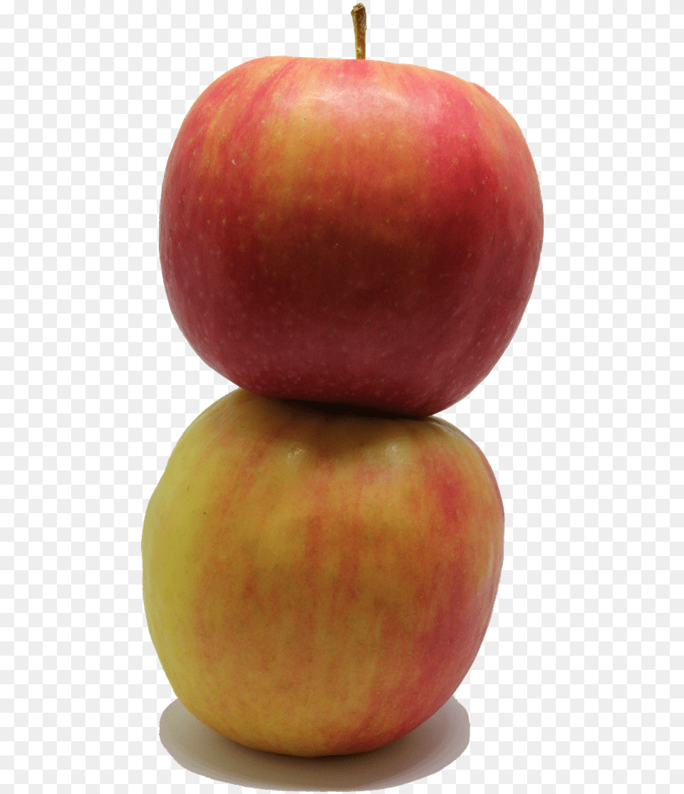 Applefruitpngfoodfresh From Needpixcom Mcintosh, Apple, Food, Fruit, Plant Free Transparent Png