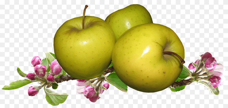 Apples Apple, Food, Fruit, Plant Free Png Download