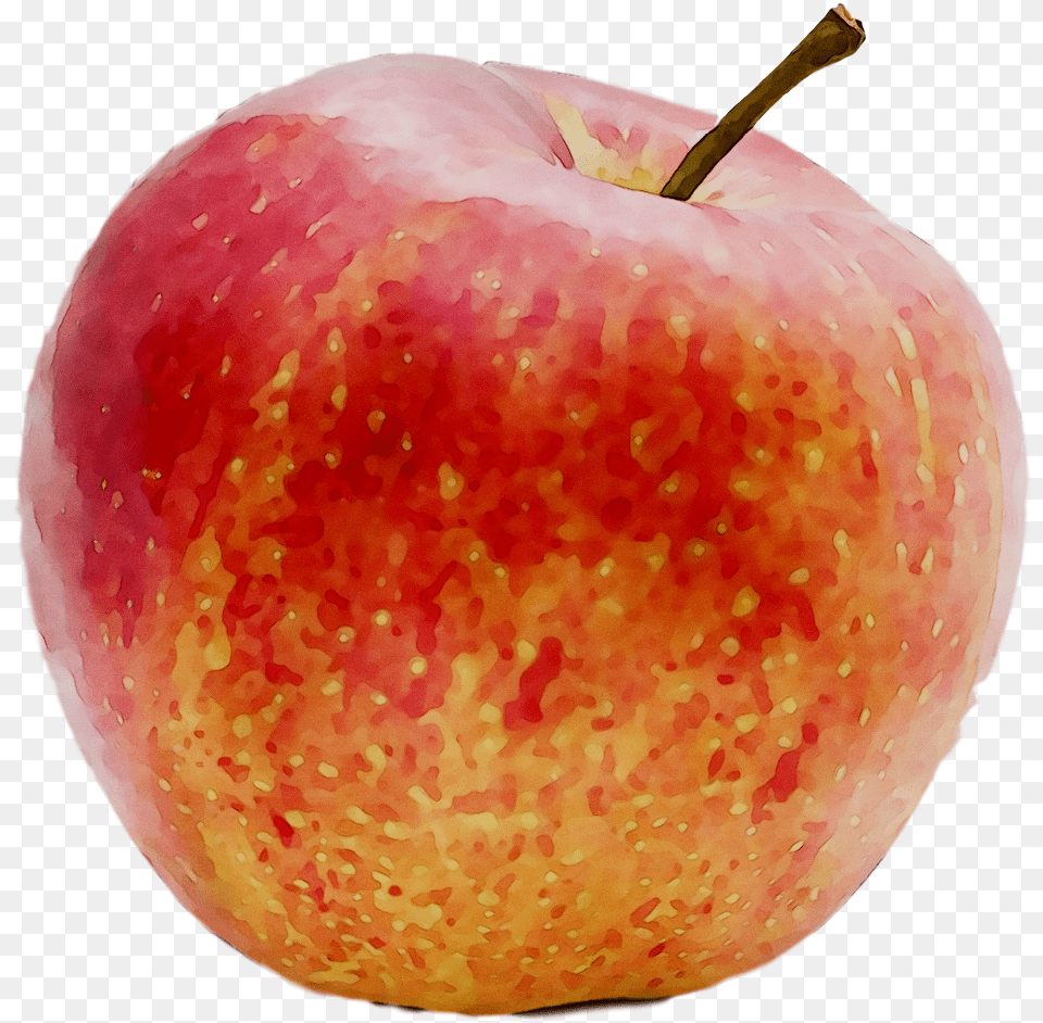 Apples Accessory Fruit Food Apple, Plant, Produce, Pear Free Transparent Png