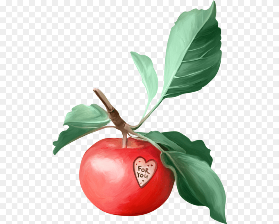 Apples Clipart Apples Clip Art Fruit Apple Clip Art, Food, Plant, Produce, Leaf Free Transparent Png