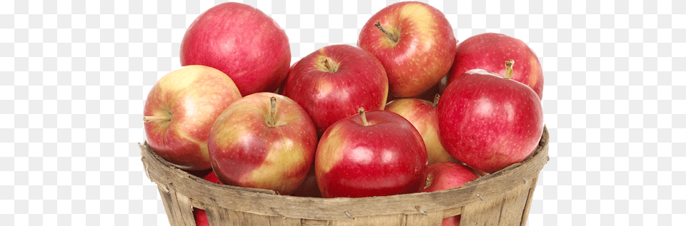 Apples Transparent, Apple, Food, Fruit, Plant Free Png Download