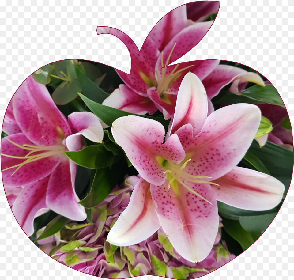 Applesticker Apple Flower Flowers Pink Lilly Stargazer Lily, Flower Arrangement, Flower Bouquet, Plant, Petal Free Png Download