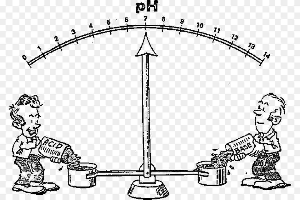 Application Of Acid Base Equilibrium, Baby, Person, Scale, Face Png