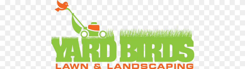 Application Yard Birdsnashville Rambo, Grass, Lawn, Plant, Person Free Png Download