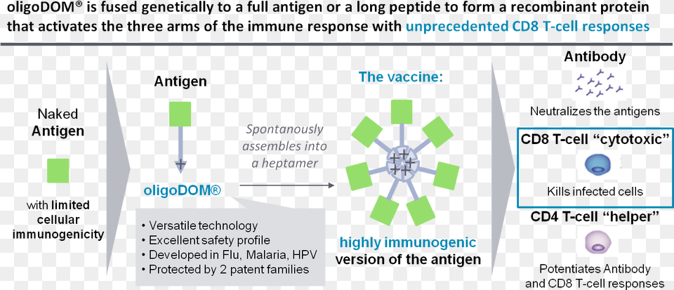 Applied In Flu Oligodom Could Bring A Paradigm Shift Diagram, Nature, Night, Outdoors Png Image
