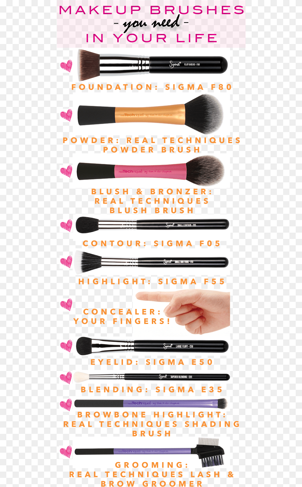 Apply Makeup Like A Pro Real Technique Brushes Function, Brush, Device, Tool, Person Free Transparent Png