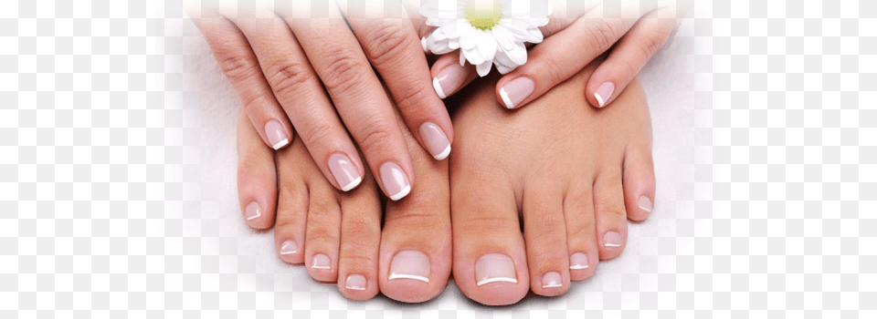 Apply Olive Oil And Lemon French Manicure, Body Part, Hand, Nail, Person Free Png