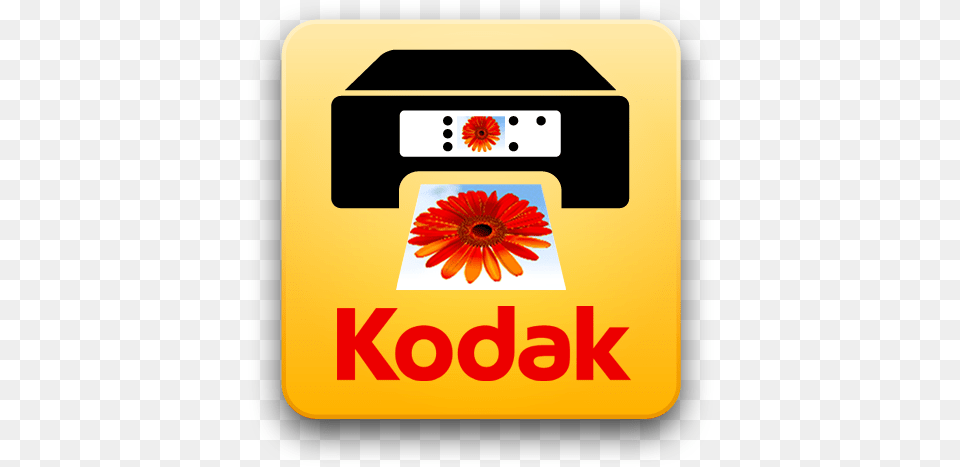 Appstore Kodak Logo, Daisy, Flower, Plant, Computer Hardware Png Image