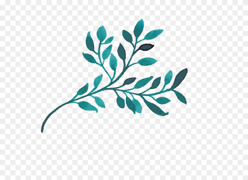 Aprende Conmigo A Escribir Gambel Oak, Art, Floral Design, Graphics, Leaf Free Png Download