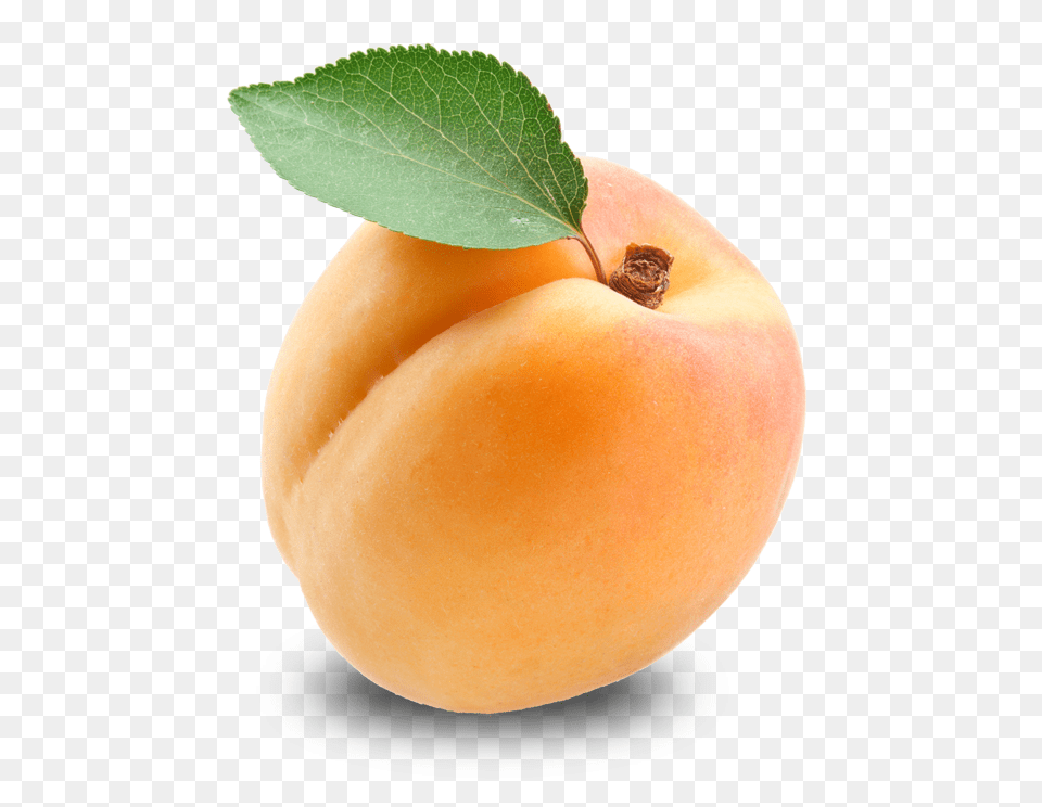 Apricot, Food, Fruit, Plant, Produce Png Image