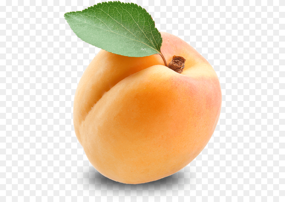 Apricot, Produce, Plant, Food, Fruit Free Png