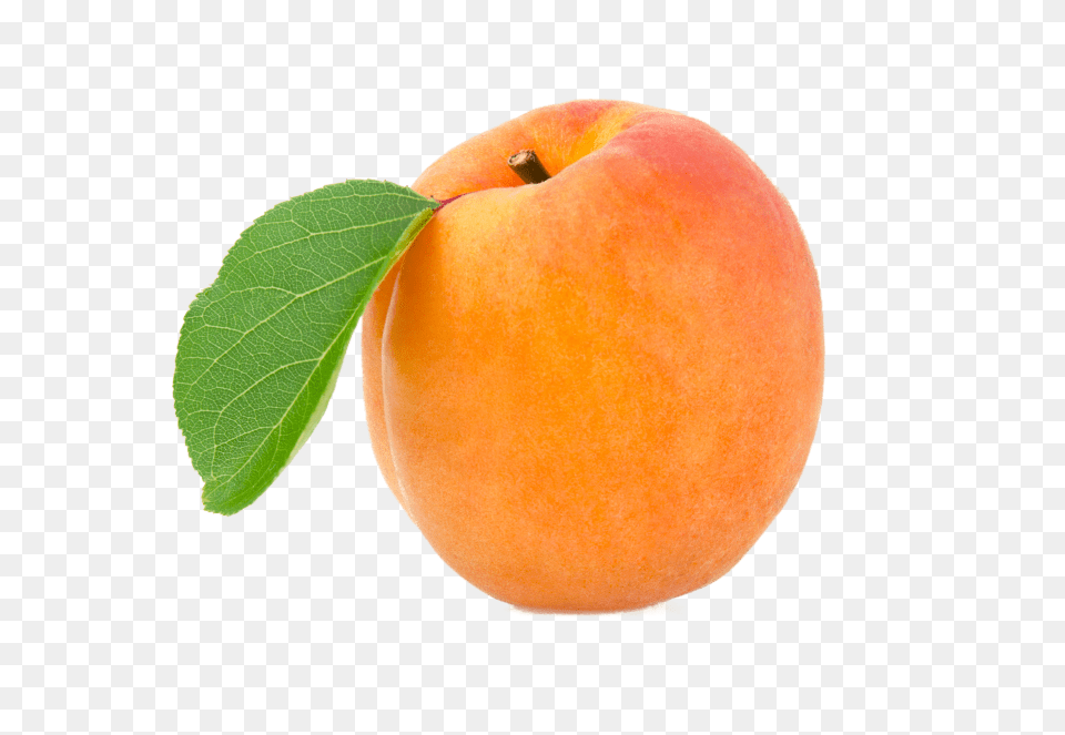 Apricot, Food, Fruit, Plant, Produce Free Transparent Png